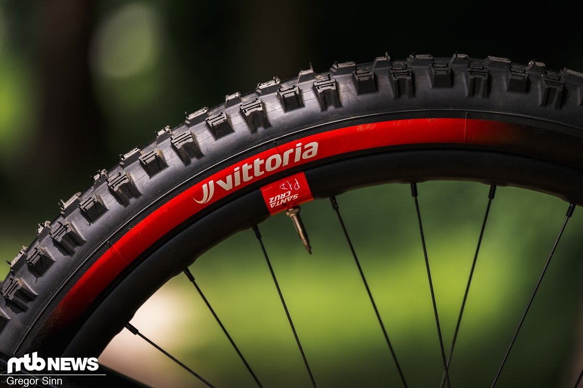 Gefahren wird auf Vittoria Downhill-Reifen – das sieht man auch nicht bei vielen Teams.