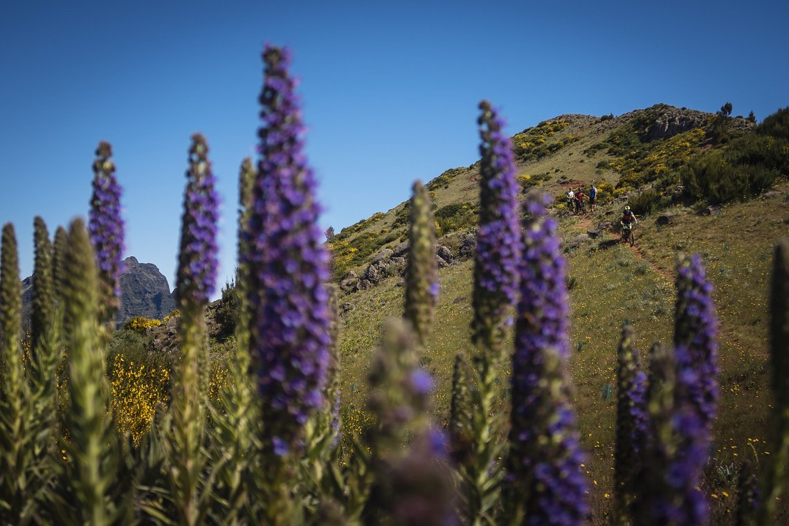 TransMadeira18 Day3-1037
