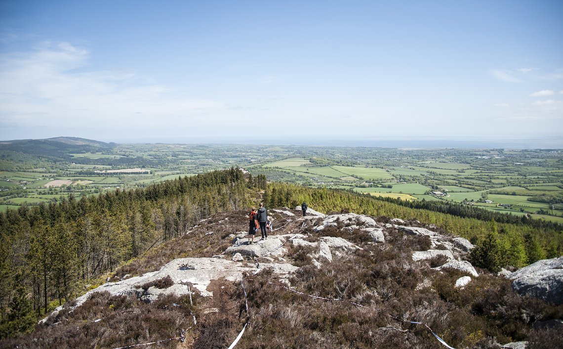 Der Hügel an dem das Rennen in Wicklow stattfand mag war zwar lediglich 381m hoch sein, das Trailnetzwerk hat aber auf jeden Fall Vorzeige Charakter