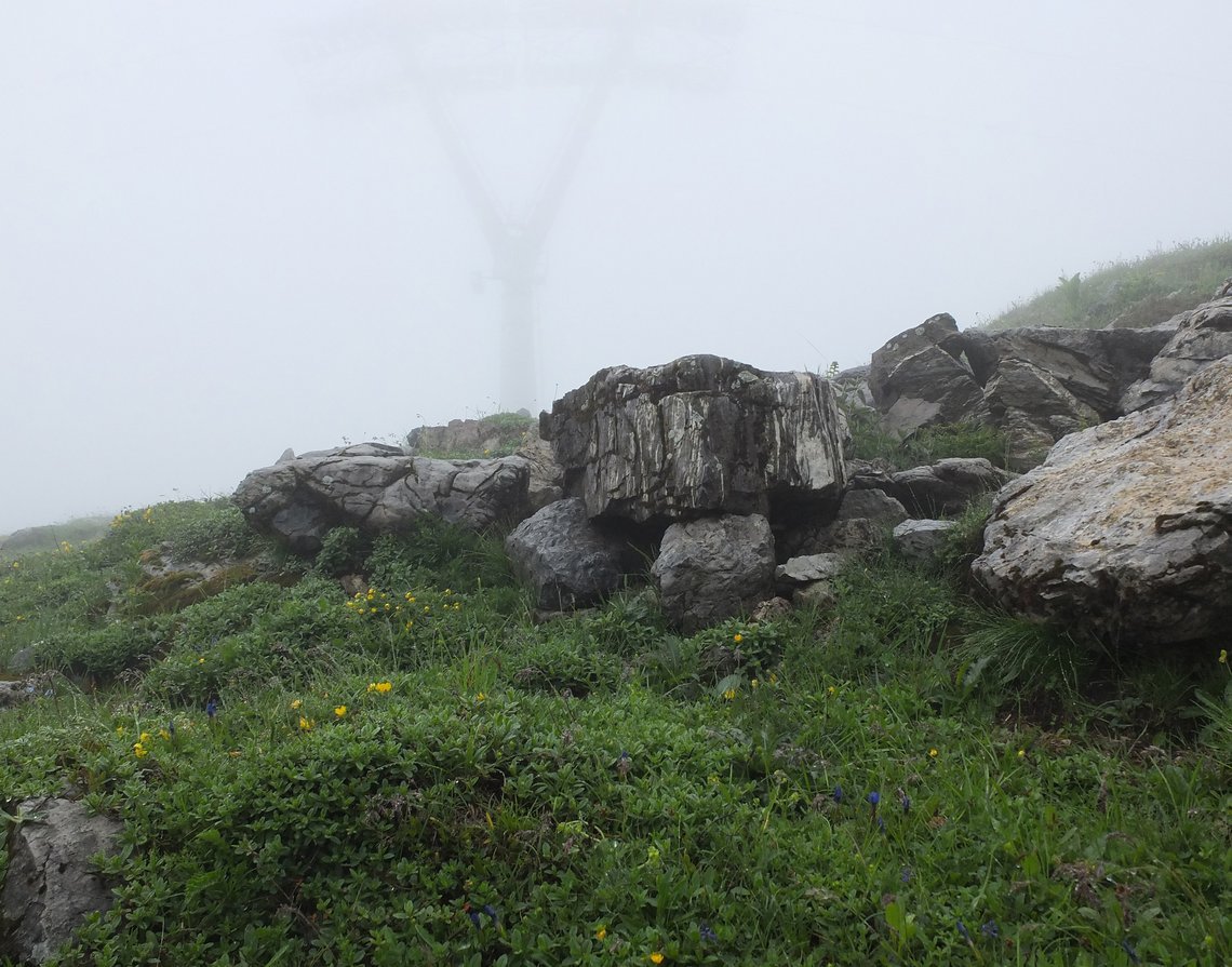 Wiesenpassage mit Felsen