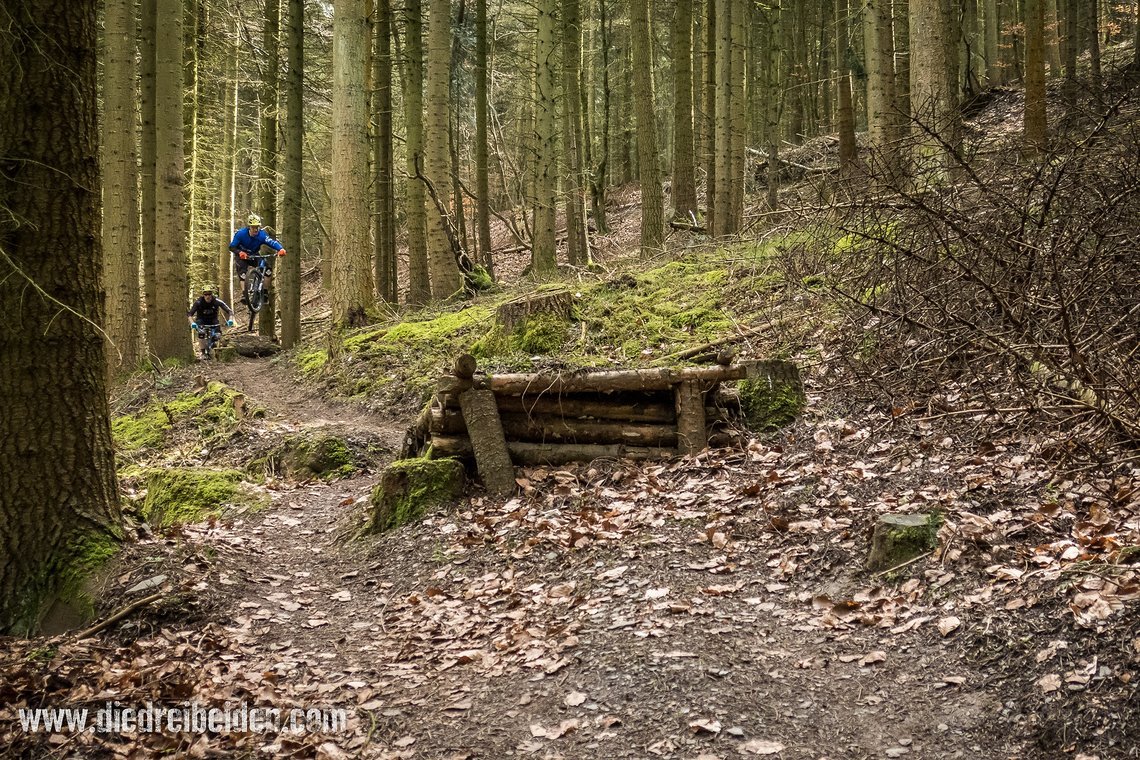 Trailpark Mehring Flowline