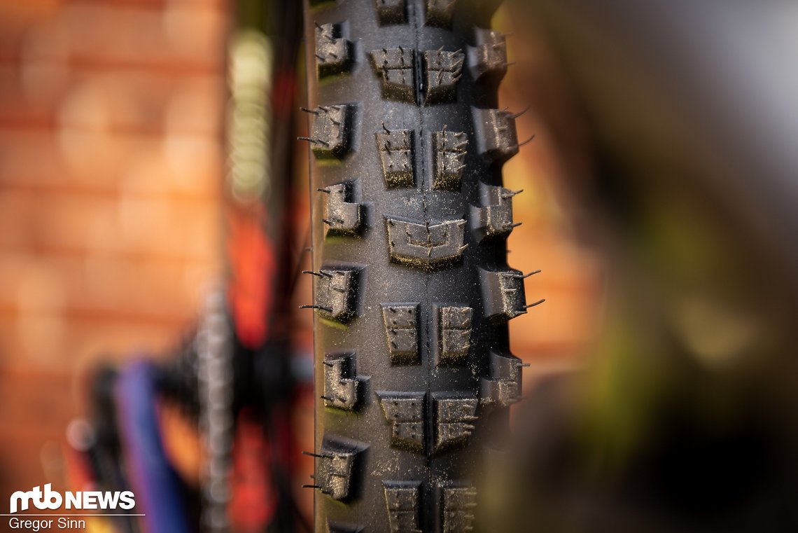 Specialized-Cannibal-Produkt-0188