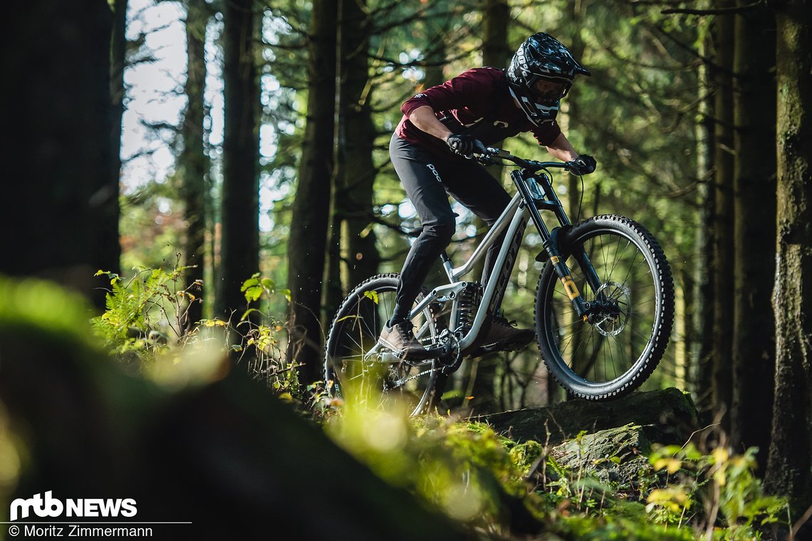 specialized-cannibal-9618