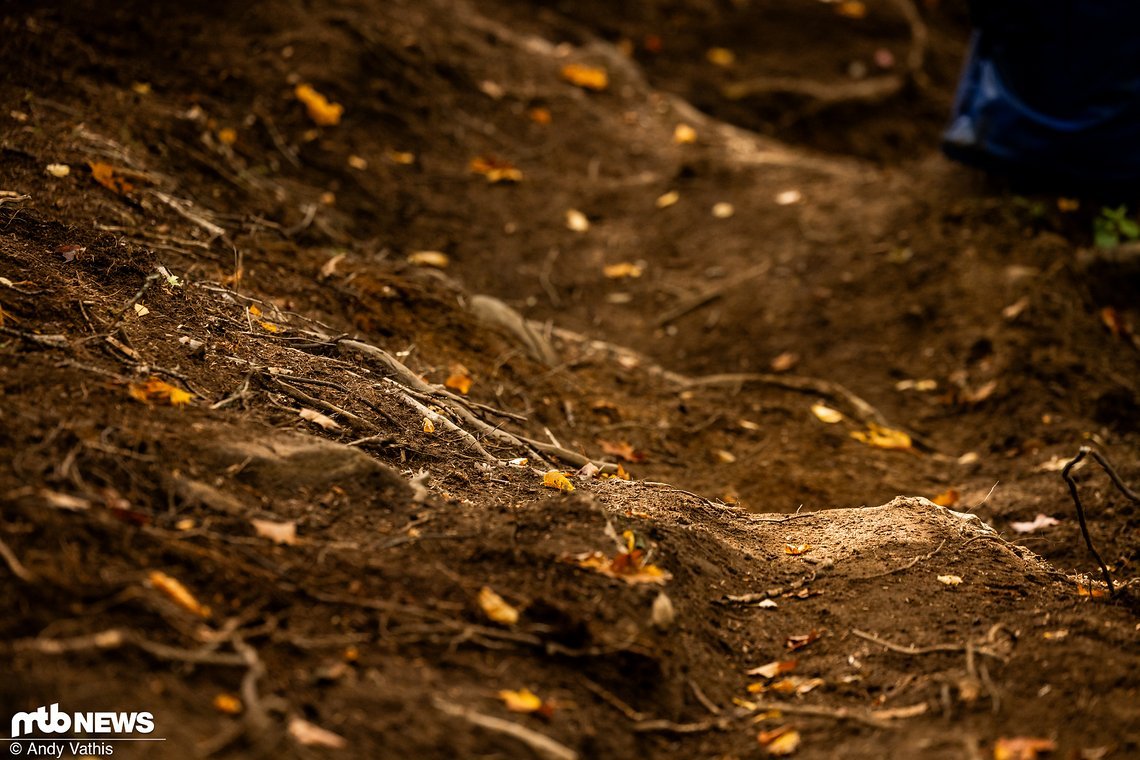 MTBNews