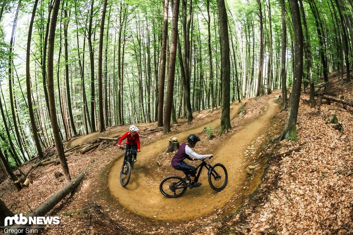Rollt man den Radweg entlang des Sees Richtung Süden, kommt man zu Alban Berg-Trail