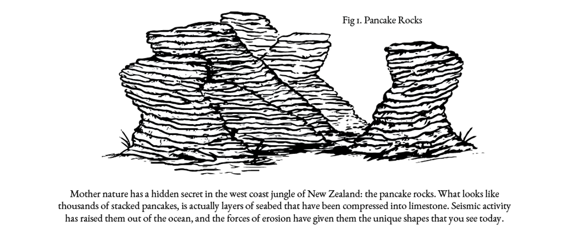 ... und sich die Pancake Rocks anzuschauen
