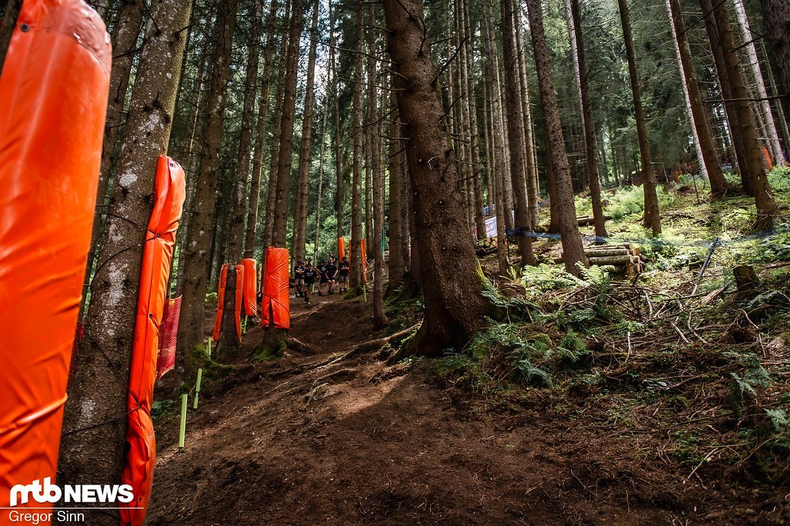 Deshalb! Ein komplett neues Off Camber-Stück dürfte im Wald für viel Action und aufgewirbelten Dreck sorgen.