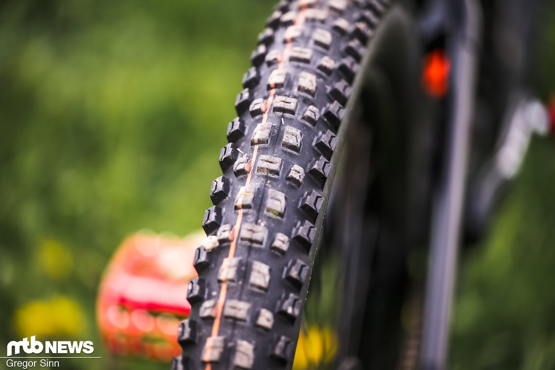 … hinten der Schwalbe Albert.