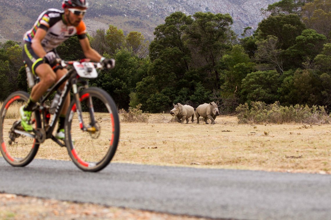 Fairy Glen Reserve - Biker in Einklang mit der Fauna Südafrikas
