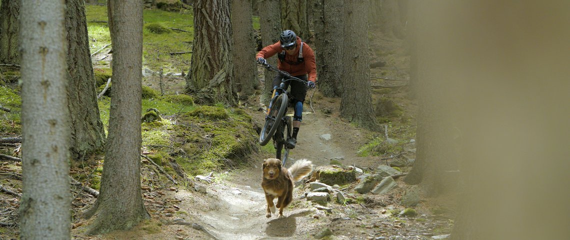 Paws&Wheels 6