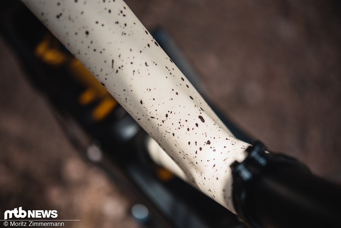 specialized-enduro-ltd-5454