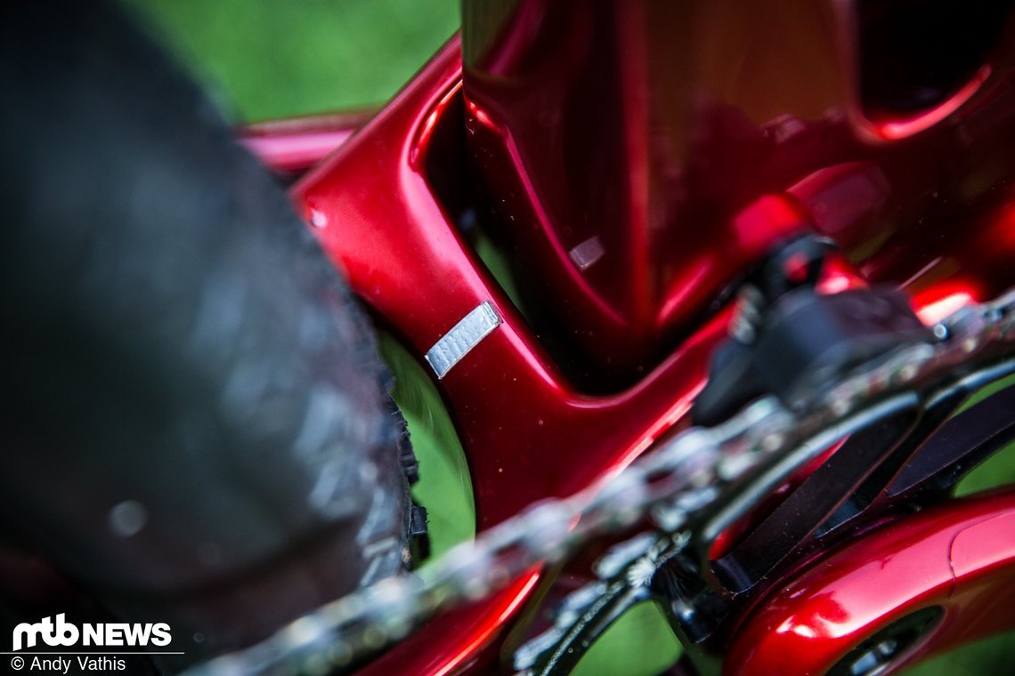 MTBNews19 MSA-1656