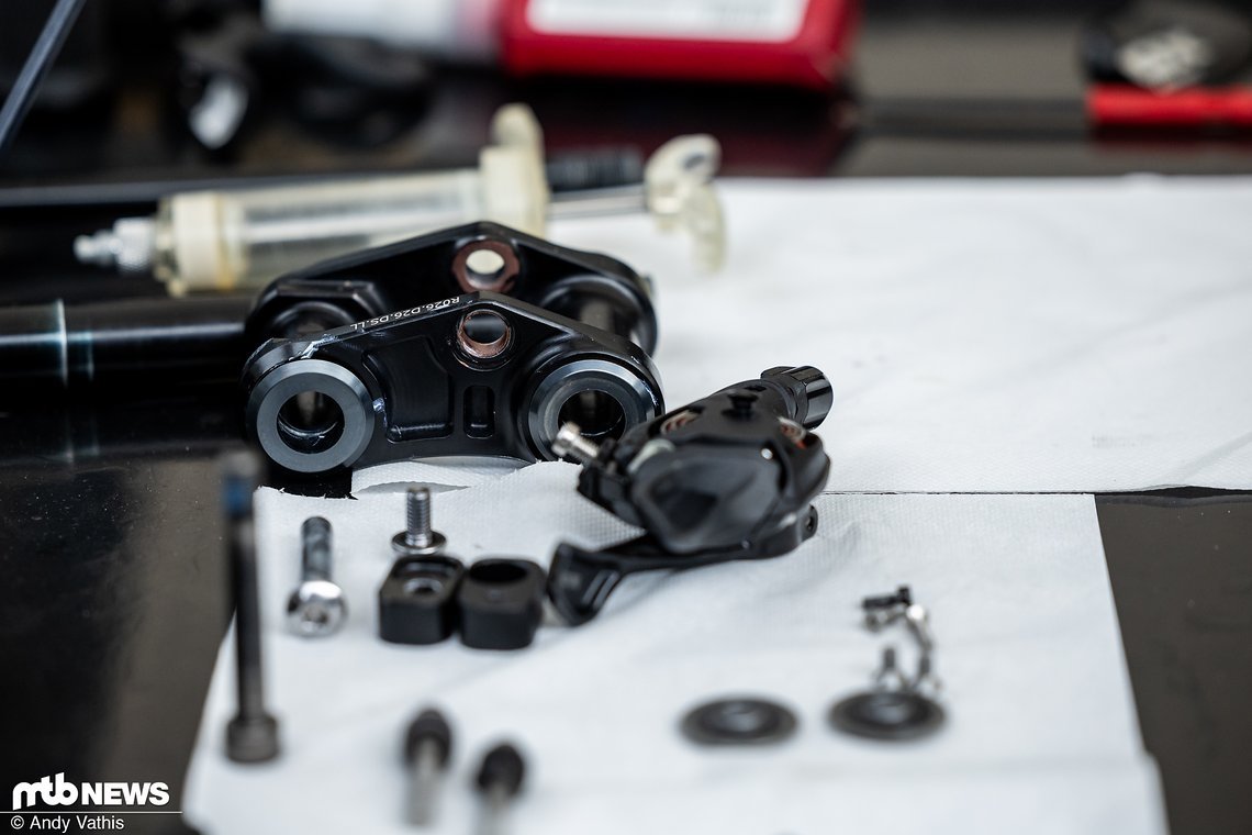 MTBNews