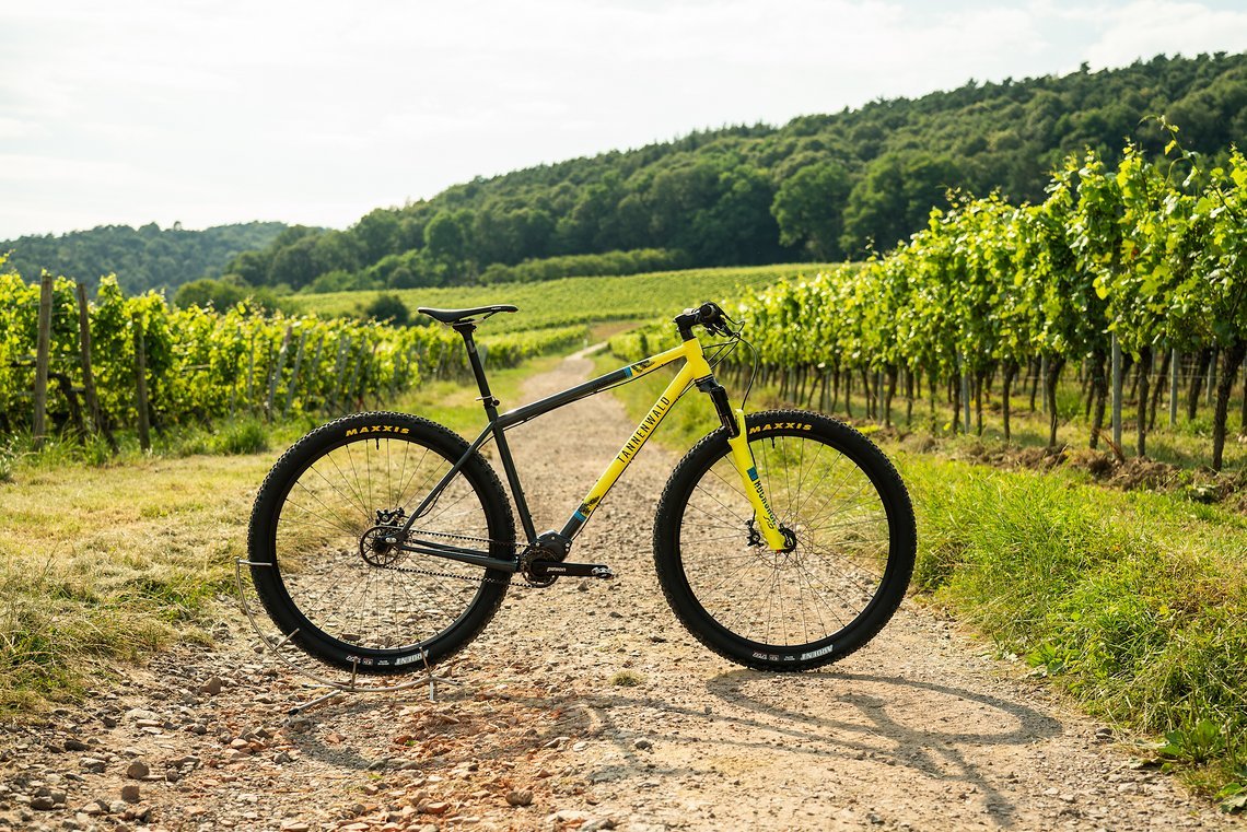 Tannenwald Bikes Luchs Pinion von IBC-User Derstnuff