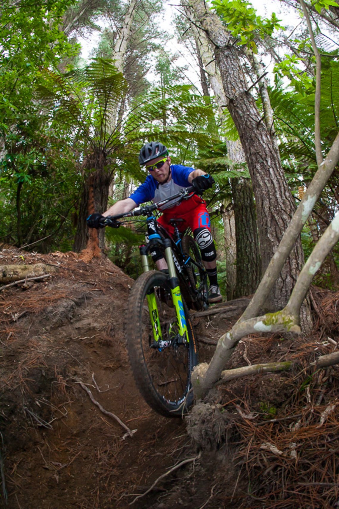 Rotorua #8