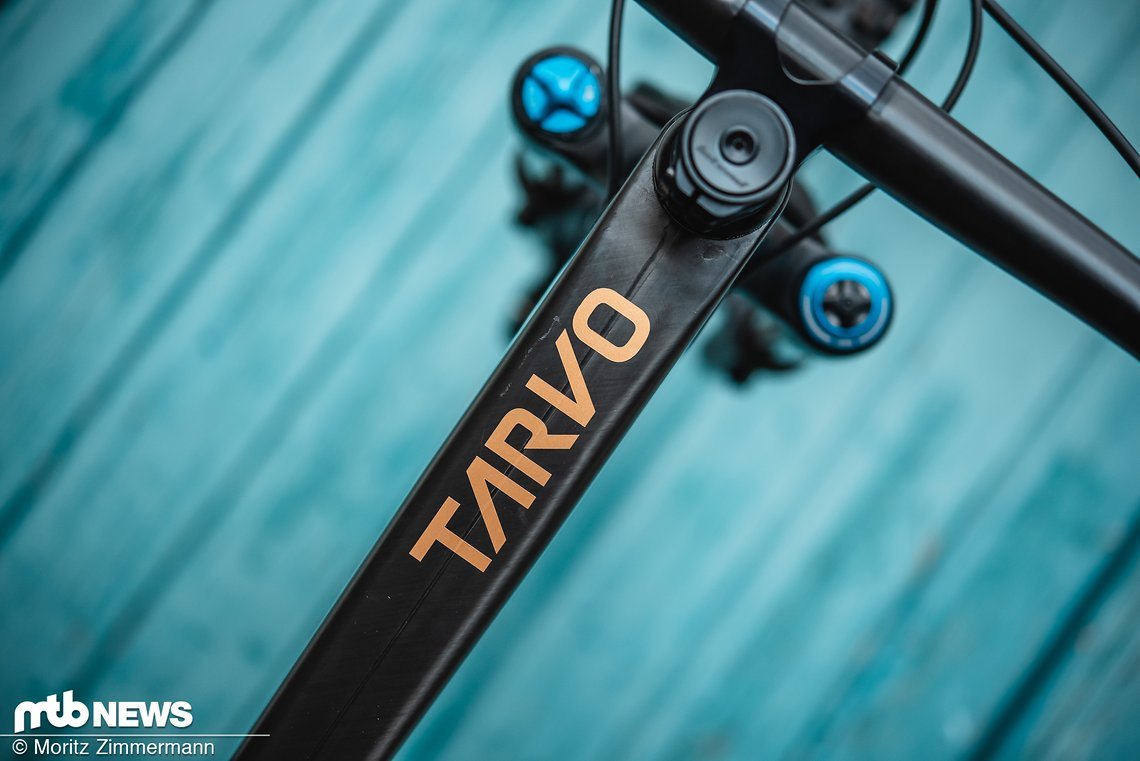 last-tarvo-0538