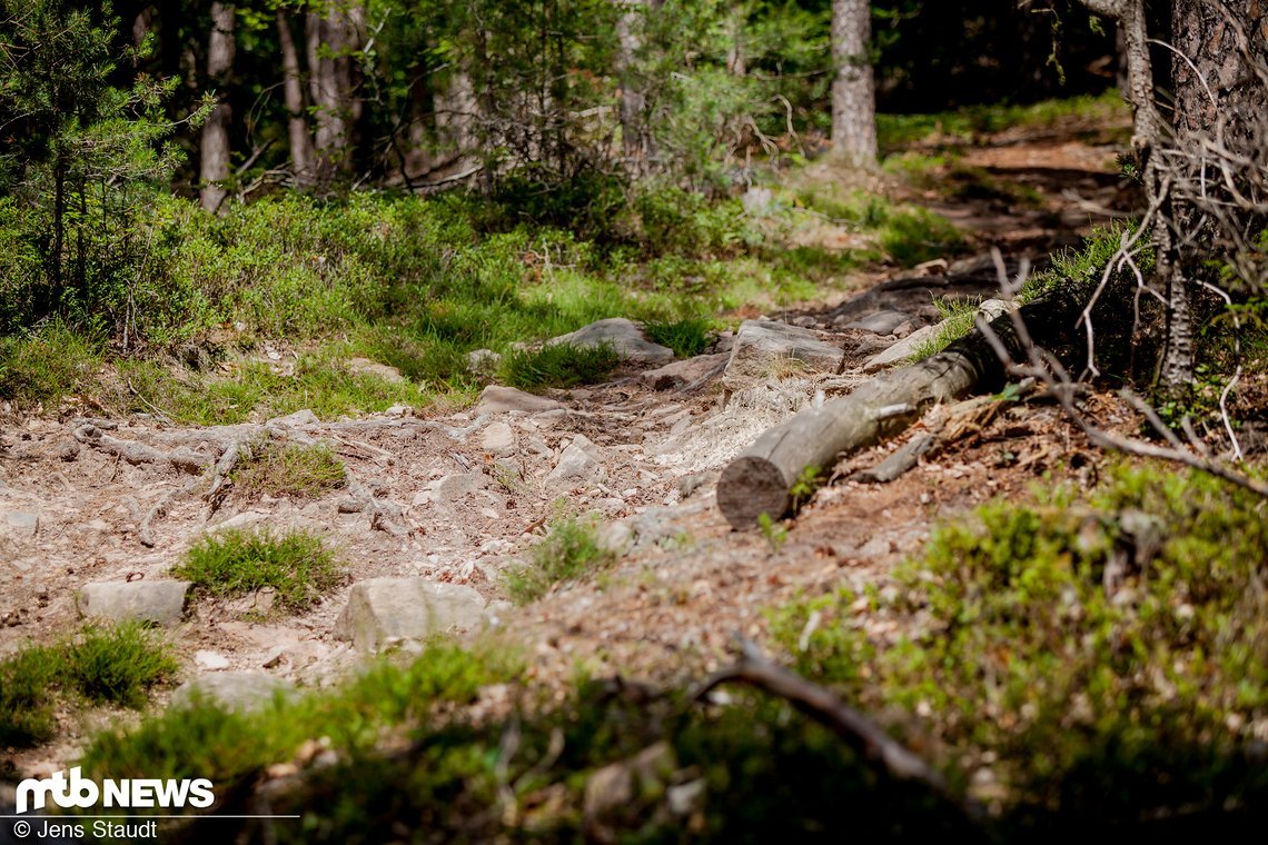 Steine und Felsen, die Erzfeinde dünnwandiger, leichter Reifen