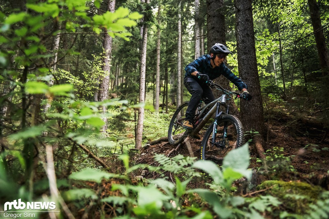 Lake-Bike-7897