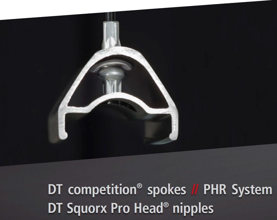 Speichen-Nippel-System