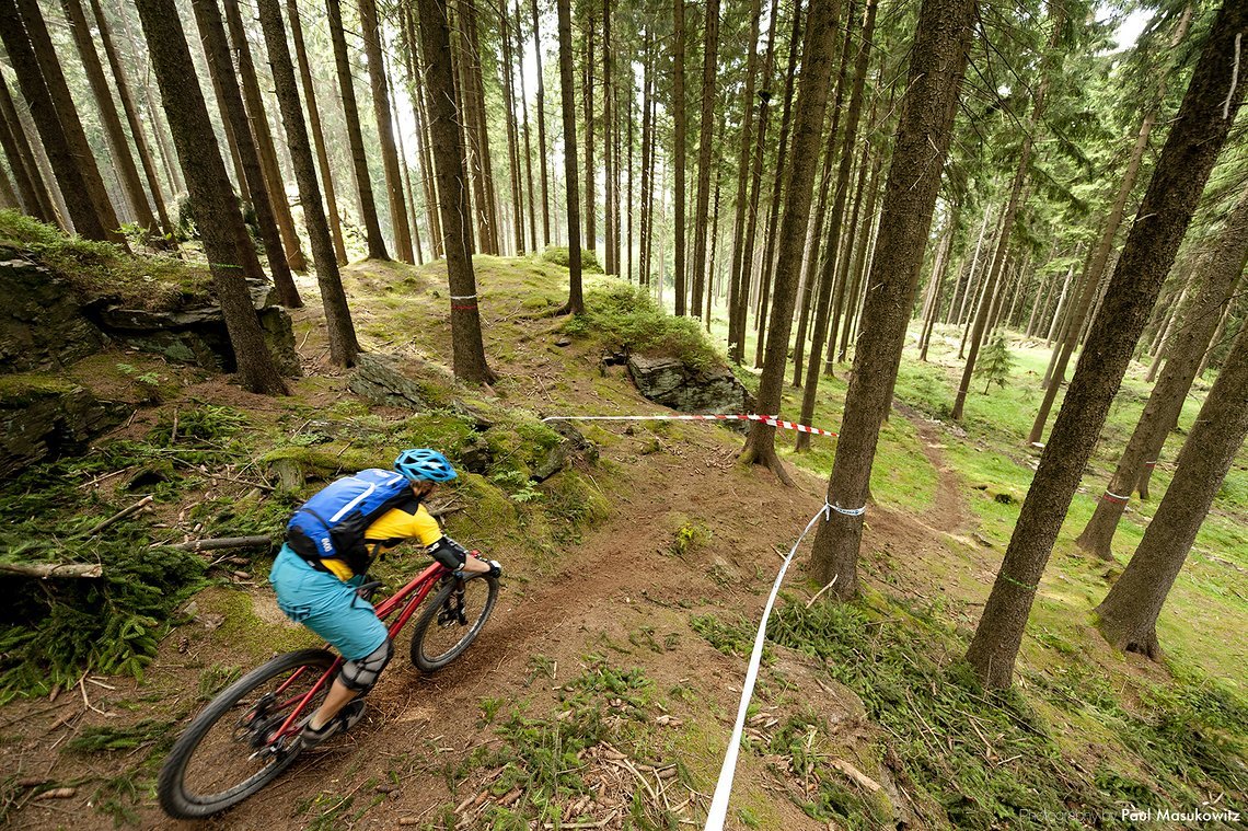... bis waldiges Mittelgebirge ist alles dabei!