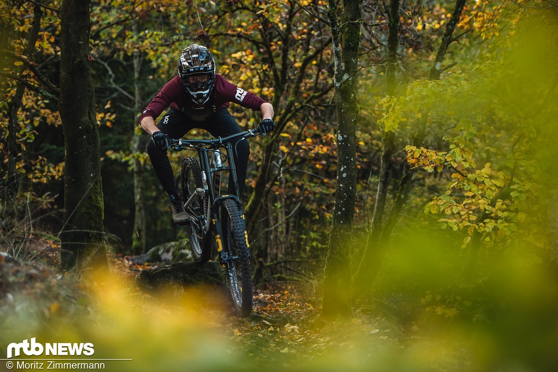 specialized-cannibal-9510