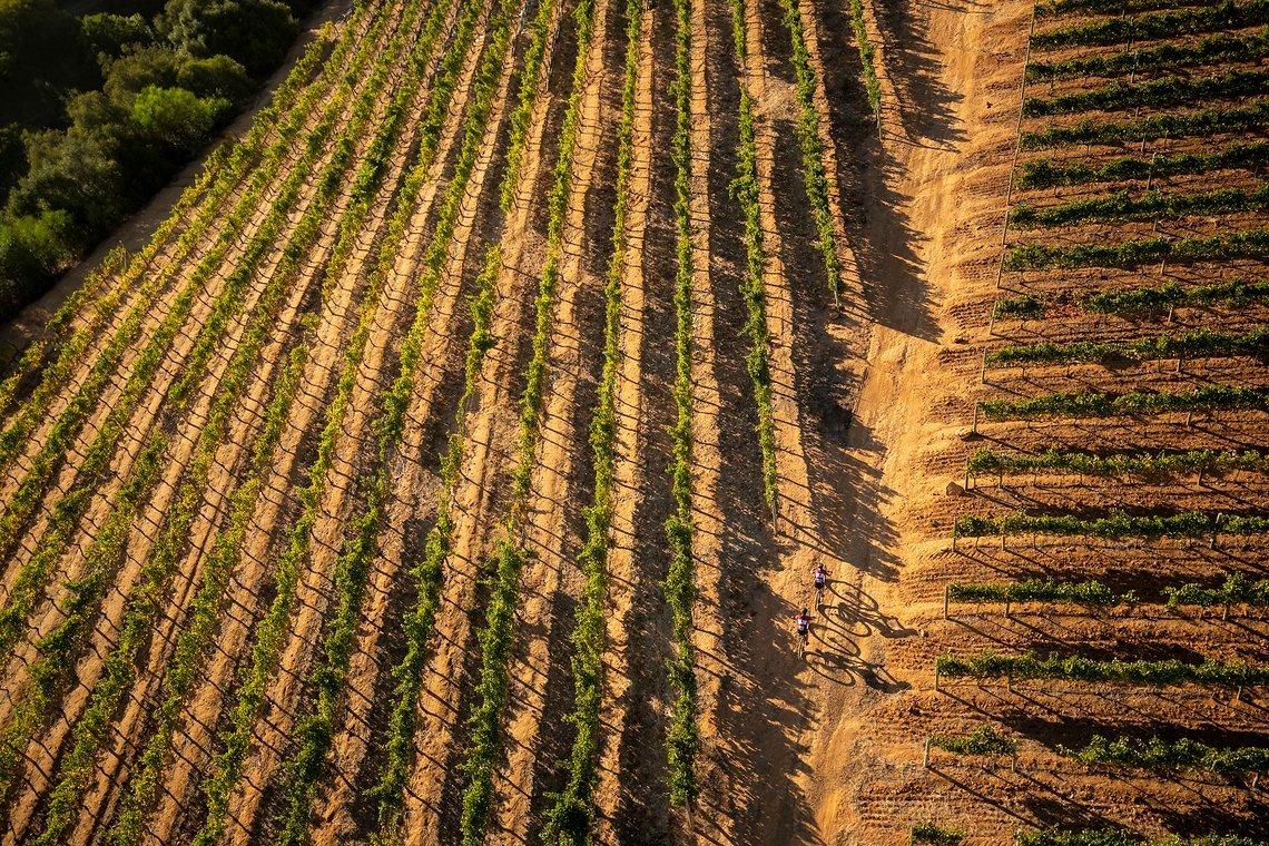 Mariske Strauss and Candice Lill of Faces Rola during stage 1 of the 2022 Absa Cape Epic Mountain Bike stage race from Lourensford Wine Estate to Lourensford Wine Estate, South Africa on the 21st March 2022. Photo by Gary Perkin