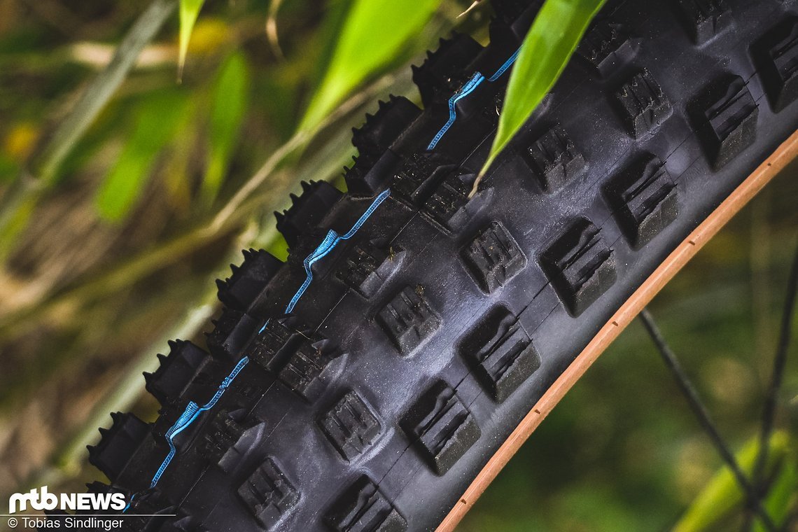 Schwalbe Wicked Will-6