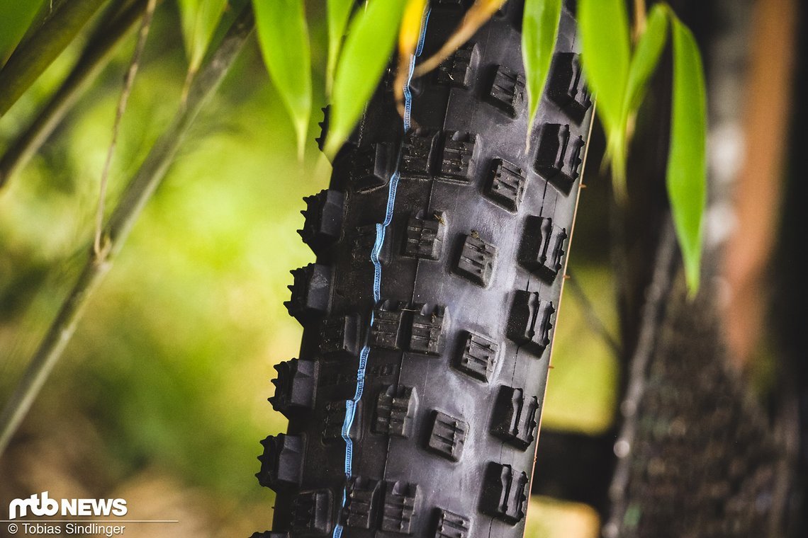 Schwalbe Wicked Will-7
