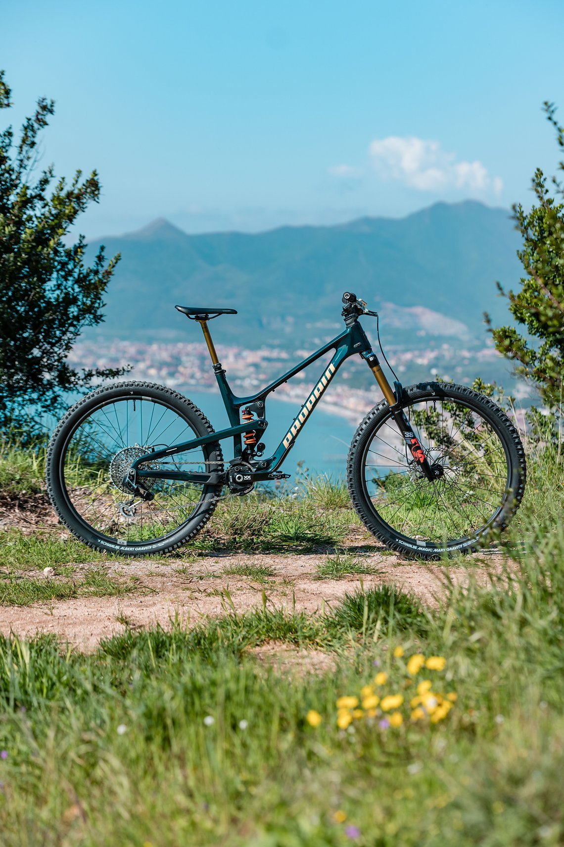 PP-Tyee-Product-MY25-eignerframes DSC6620