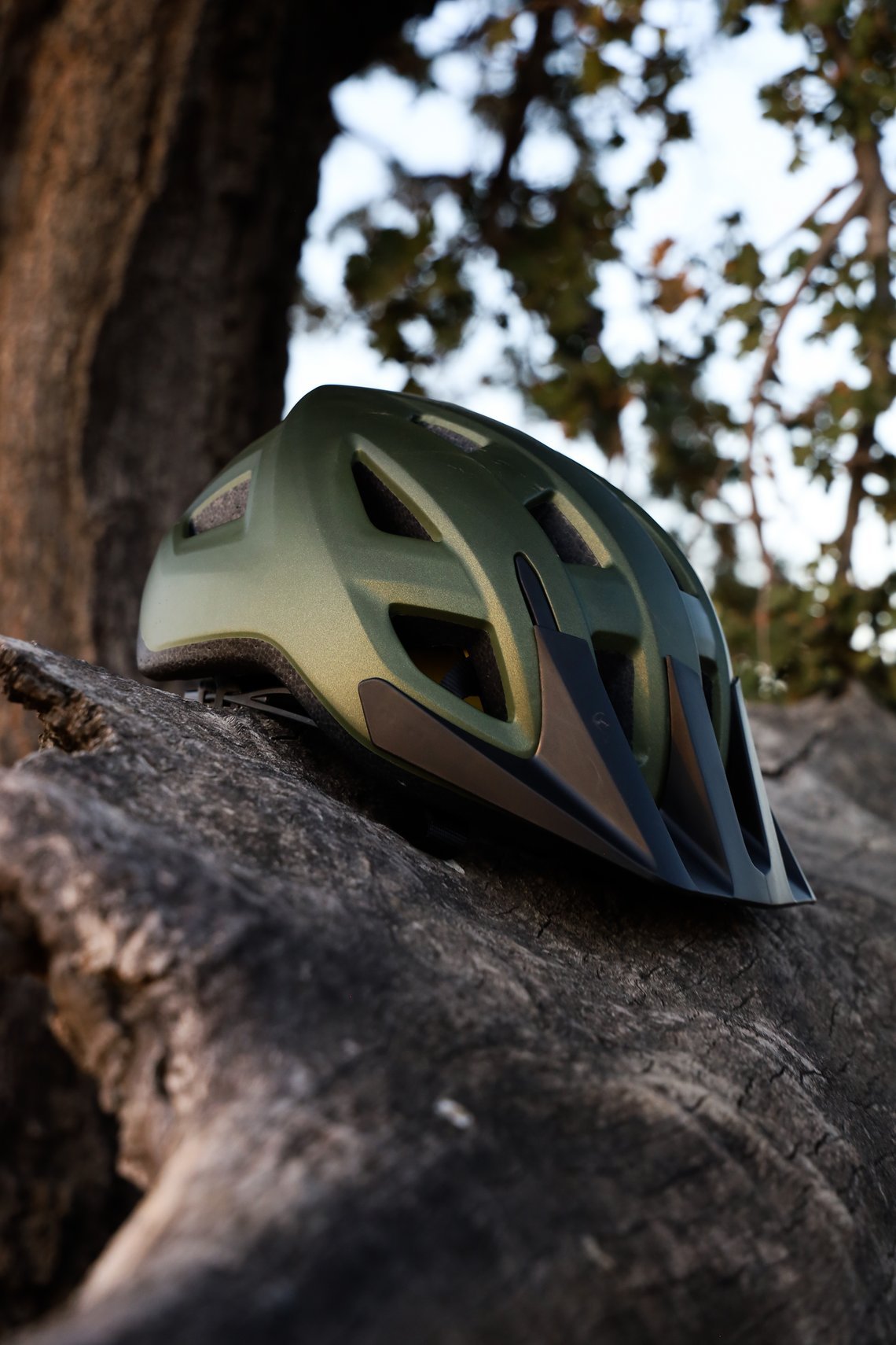 GIANT HELMET MTB SR-10