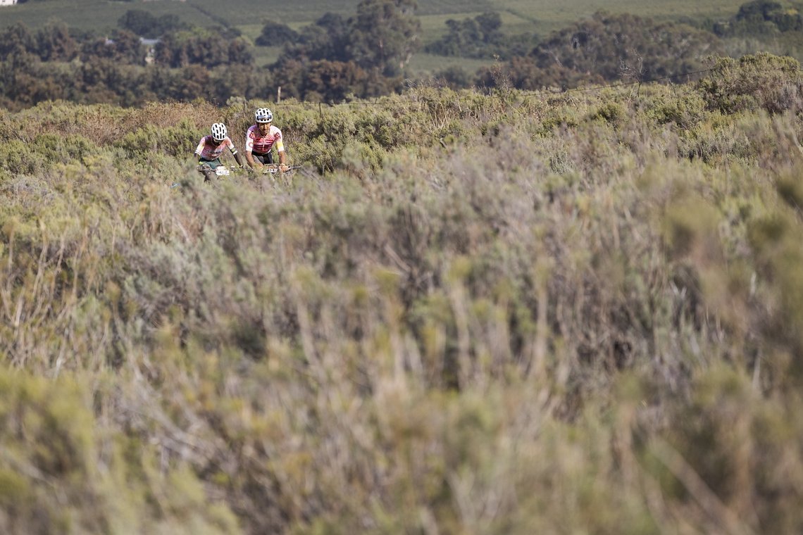 Riders during Stage 1 of the 2024 Absa Cape Epic Mountain Bike stage race from Saronsberg Wine Estate to Saronsberg Wine Estate, Tulbagh, South Africa on the 18th March 2024. Photo by Sam Clark/Cape Epic
PLEASE ENSURE THE APPROPRIATE CREDIT IS GIVEN 