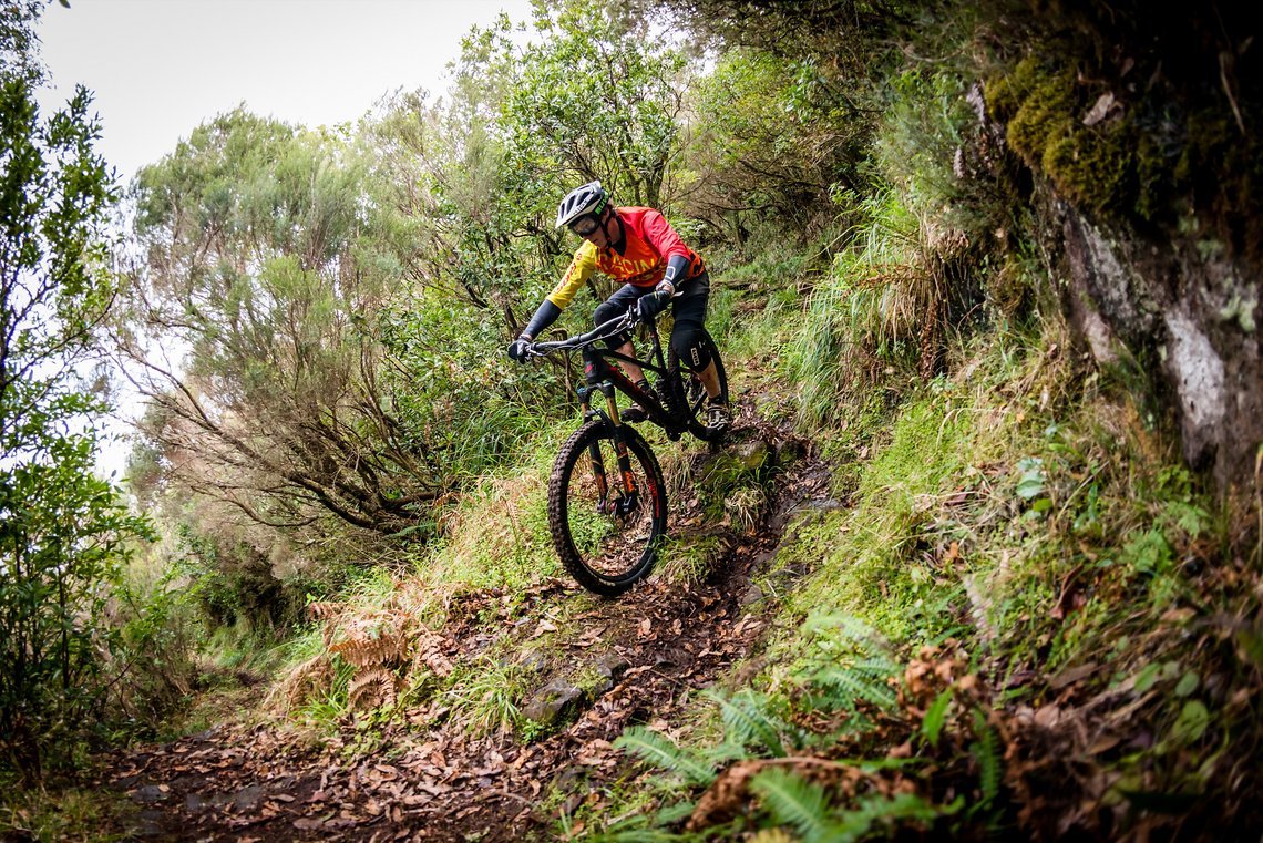 Tobi Müller on Madeira Island nr2 by Maasewerd