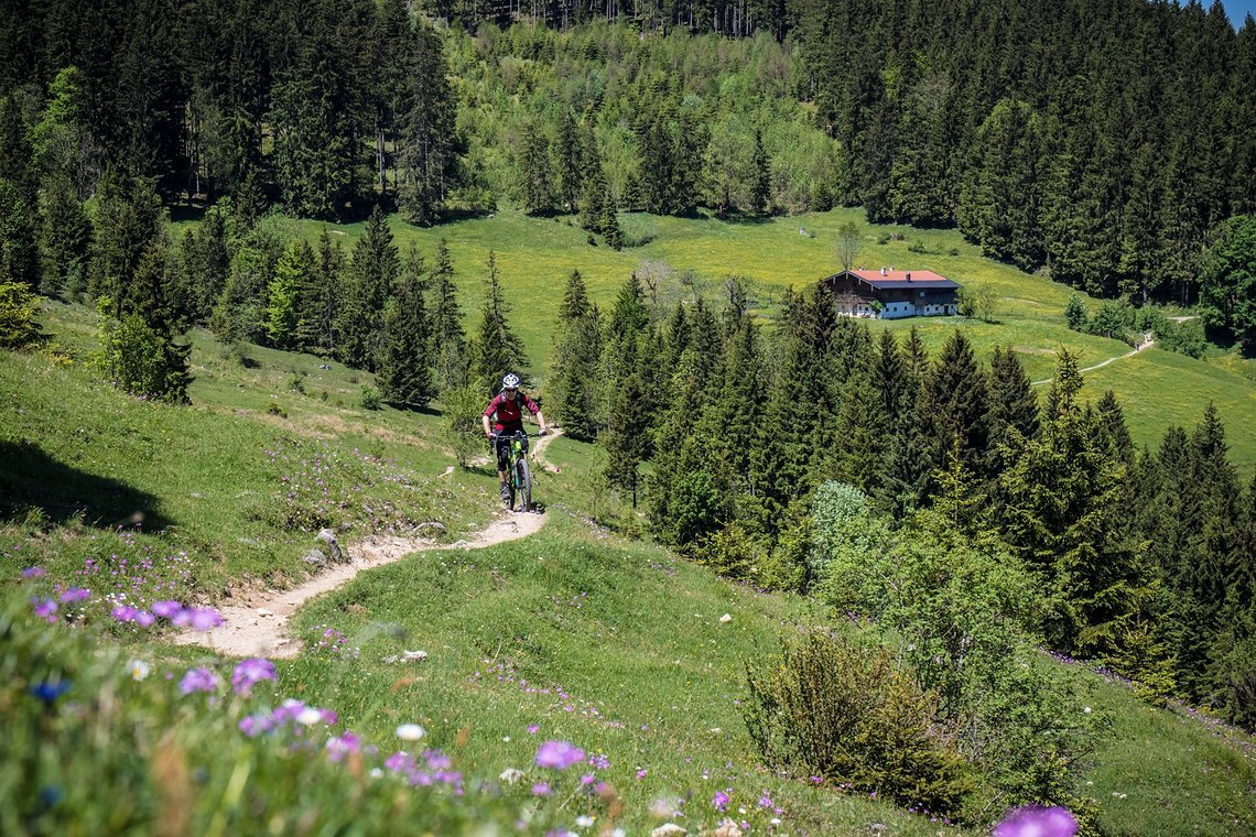 Alpenfeeling im Chiemgau