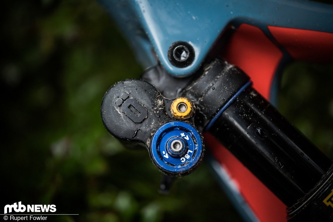 Federweg-Ende am Stumpjumper