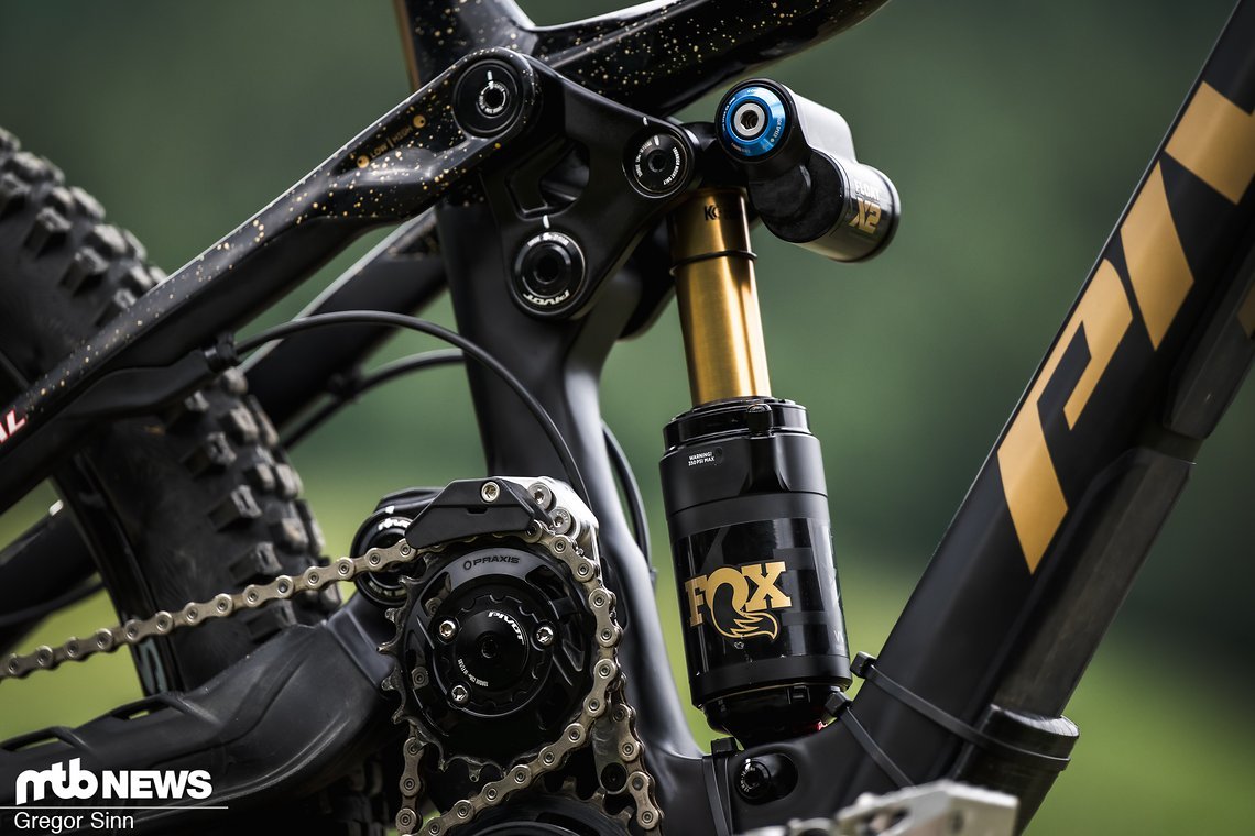 Bei Vieras Bike kommt der neue Fox-Dämpfer zum Einsatz.