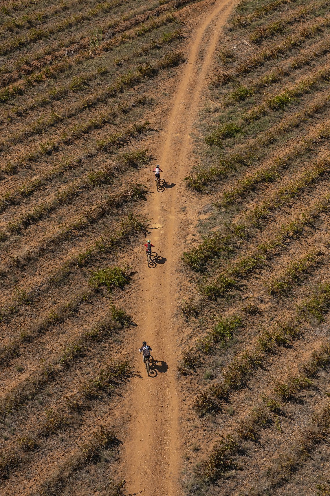 Riders make their way back to Wellington through the wine lands during Stage 5 of the 2024 Absa Cape Epic Mountain Bike stage race from CPUT, Wellington to CPUT, Wellington, South Africa on 22 March 2024. Photo by Dom Barnardt /Cape Epic
PLEASE ENSUR