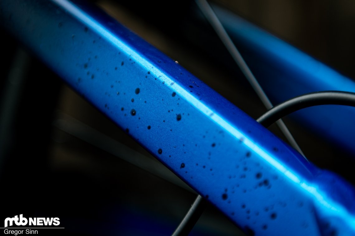 Trek-Session-Test-8013