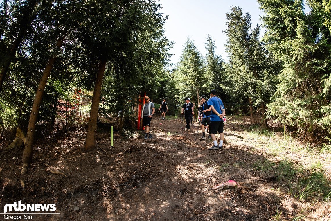 Am Anfang geht die Strecke kreuz und quer über eine Trasse im Wald