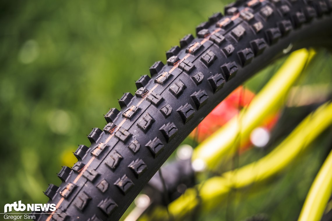 Für den optimalen Grip kommen Schwalbe Albert und Magic Mary Radial-Reifen mit Gravity-Karkasse zum Einsatz.