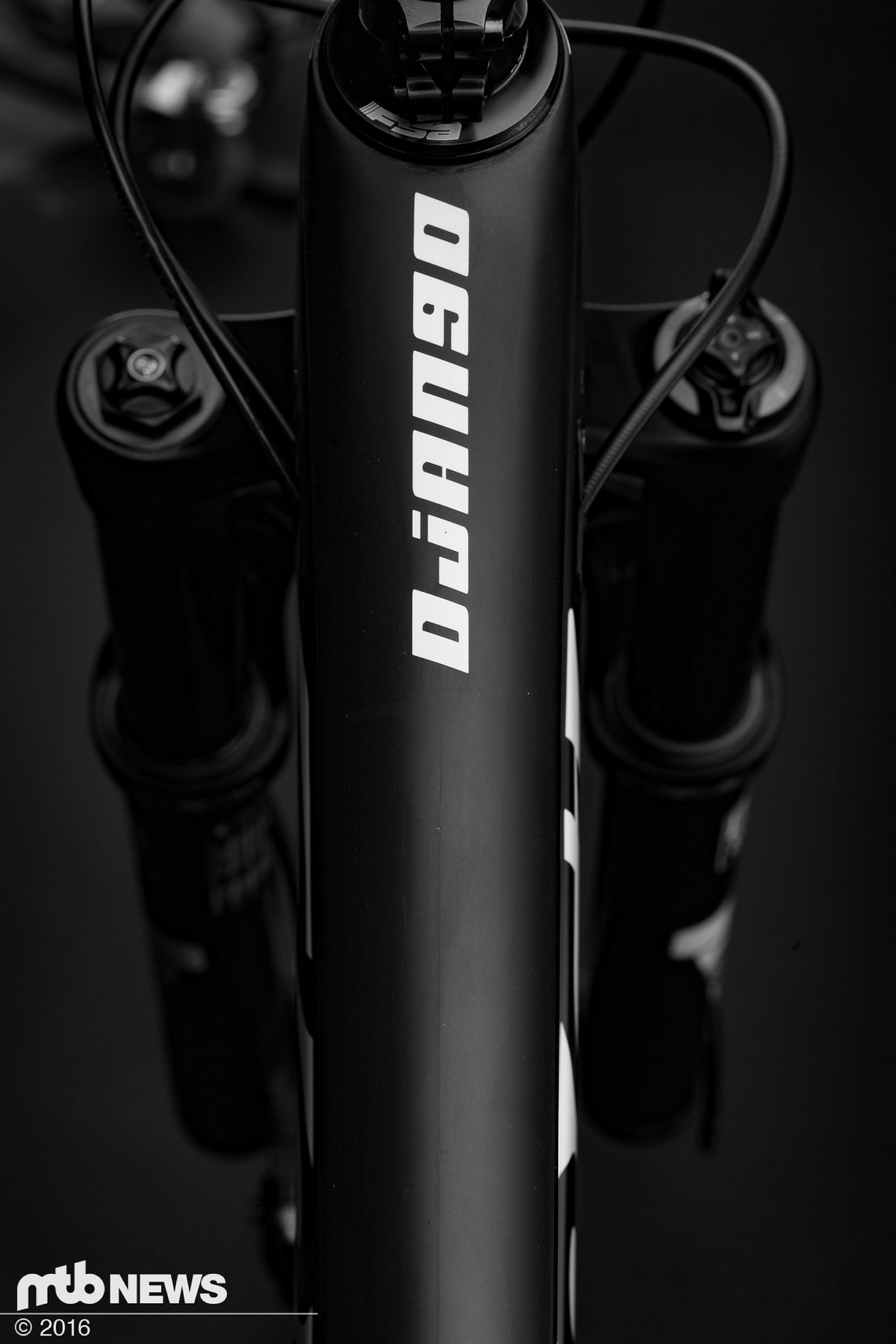 devinci django (9 von 17)