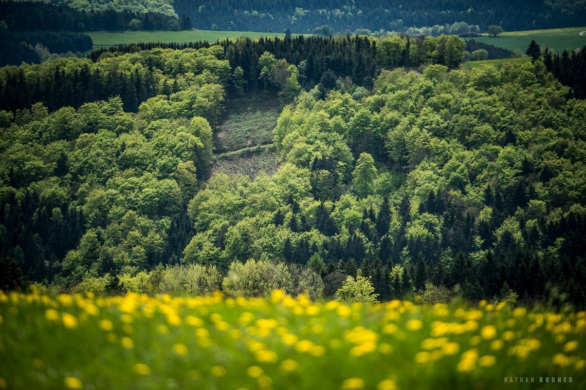 Willingen-1518-2
