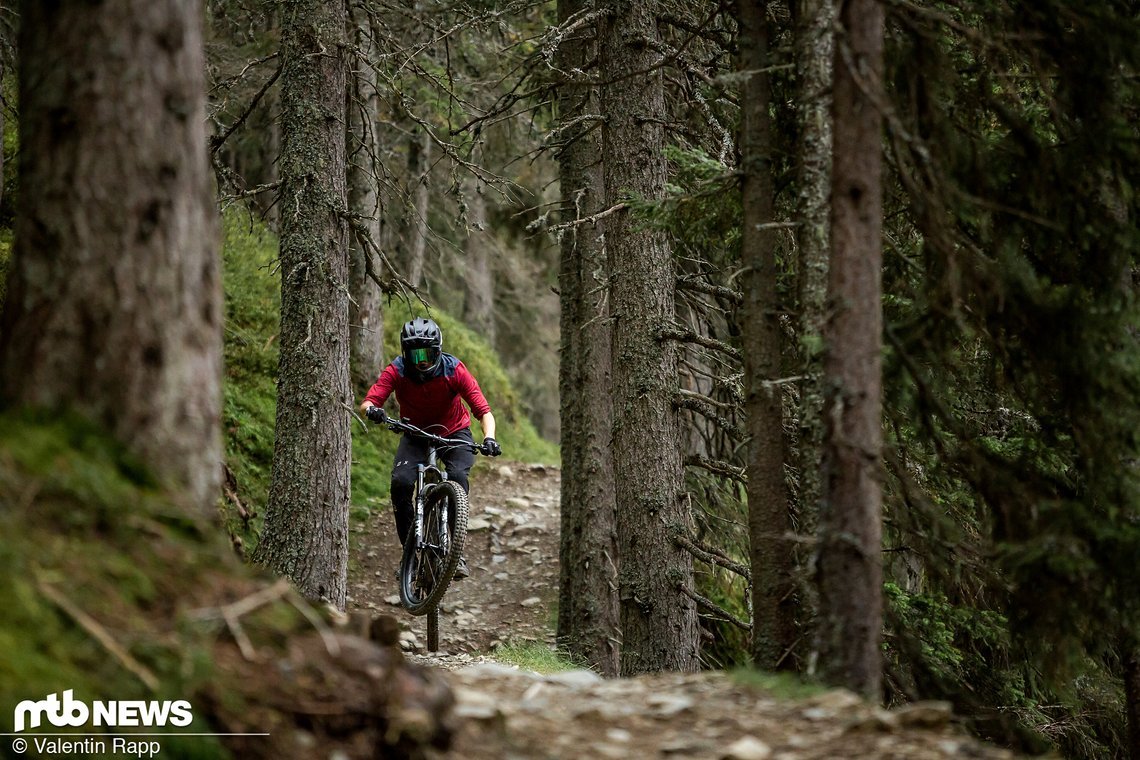 Specialized Stumpjumper Evo-300