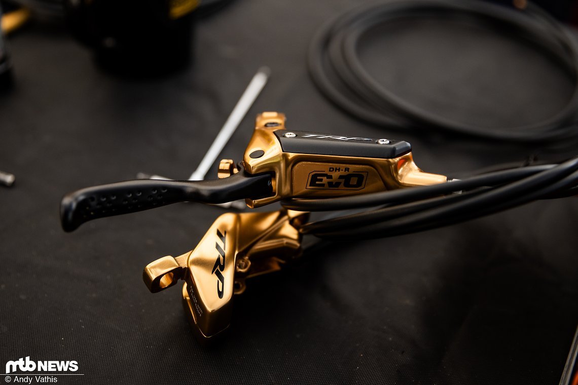 MTBNews