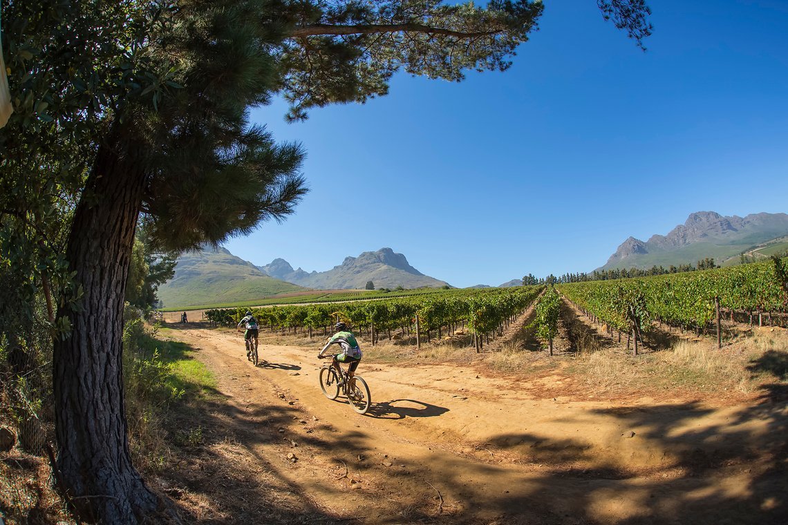 Scenic on Dornier Wine Estate during stage 1 of the 2022 Absa Cape Epic Mountain Bike stage race from Lourensford Wine Estate to Lourensford Wine Estate, South Africa on the 21st March 2022. © Dom Barnardt / Cape Epic