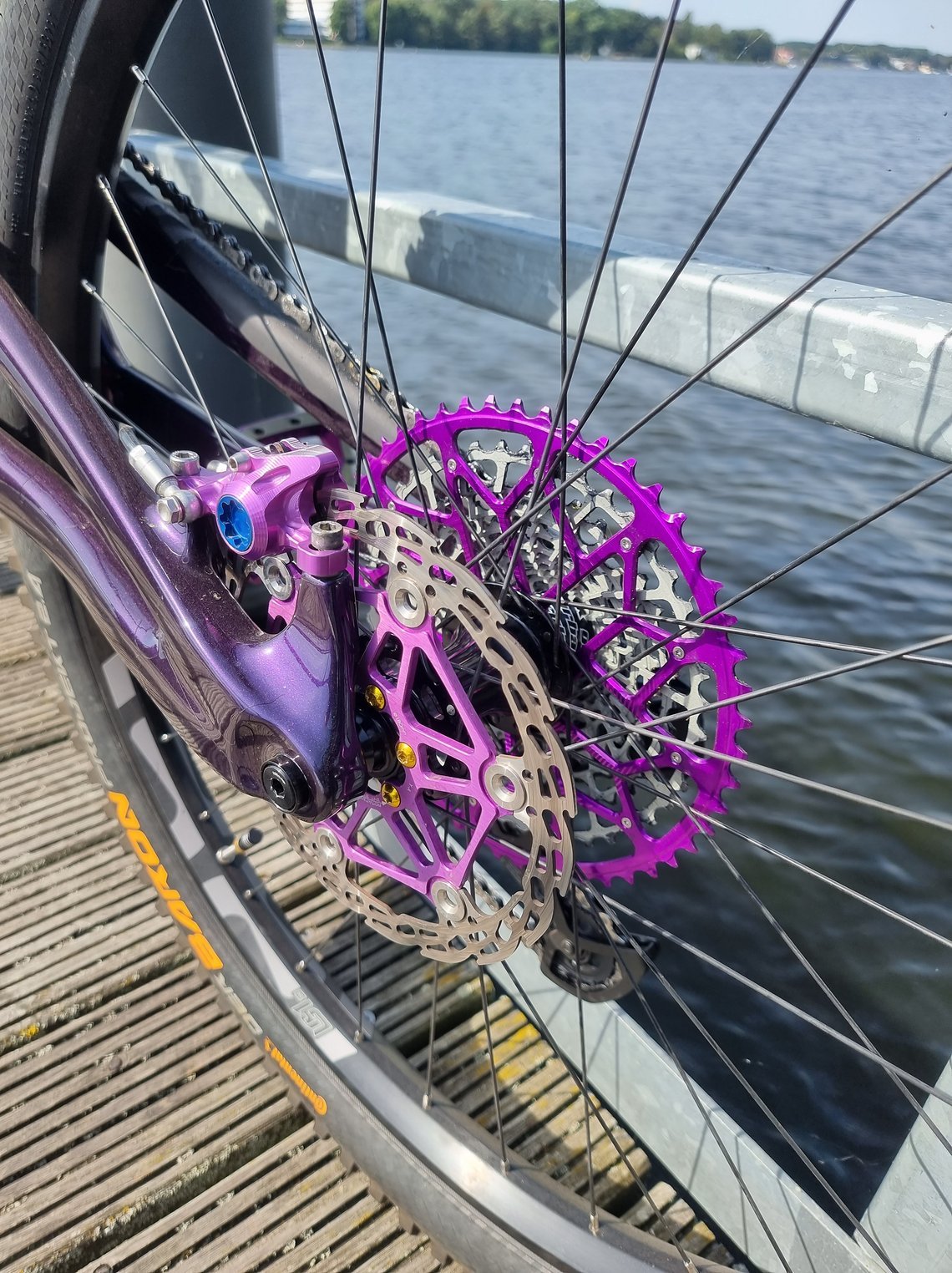 ... und lassen das Bike aus der Masse hervorstechen