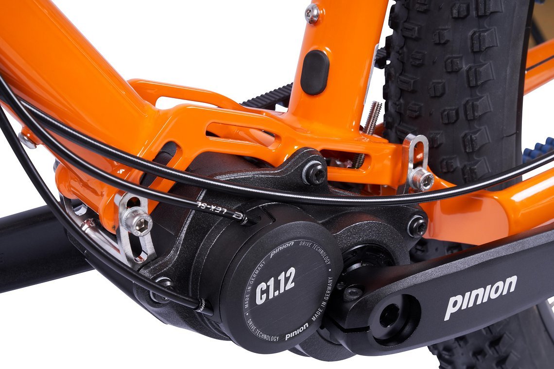 Herzstück des Tout Terrain Outback Xplore II ist das Pinion-Getriebe ...