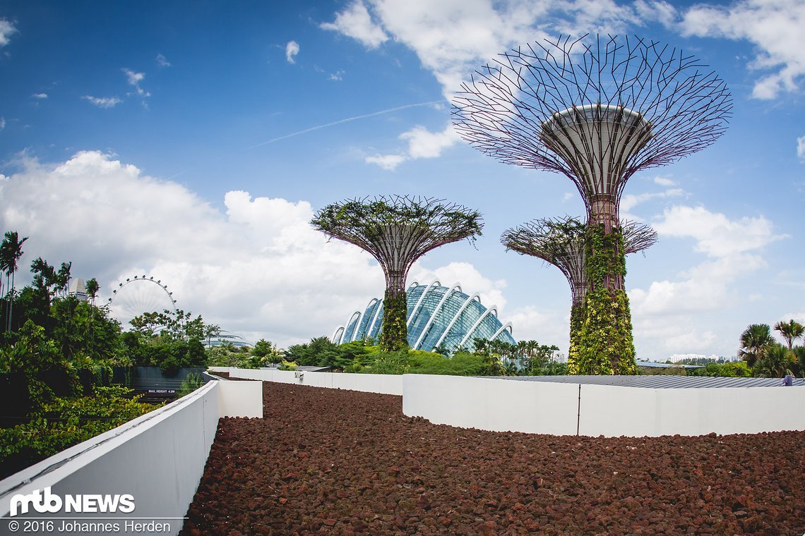 Die riesigen Gewächshäuser aus "Gardens By The Bay" im Hintergrund