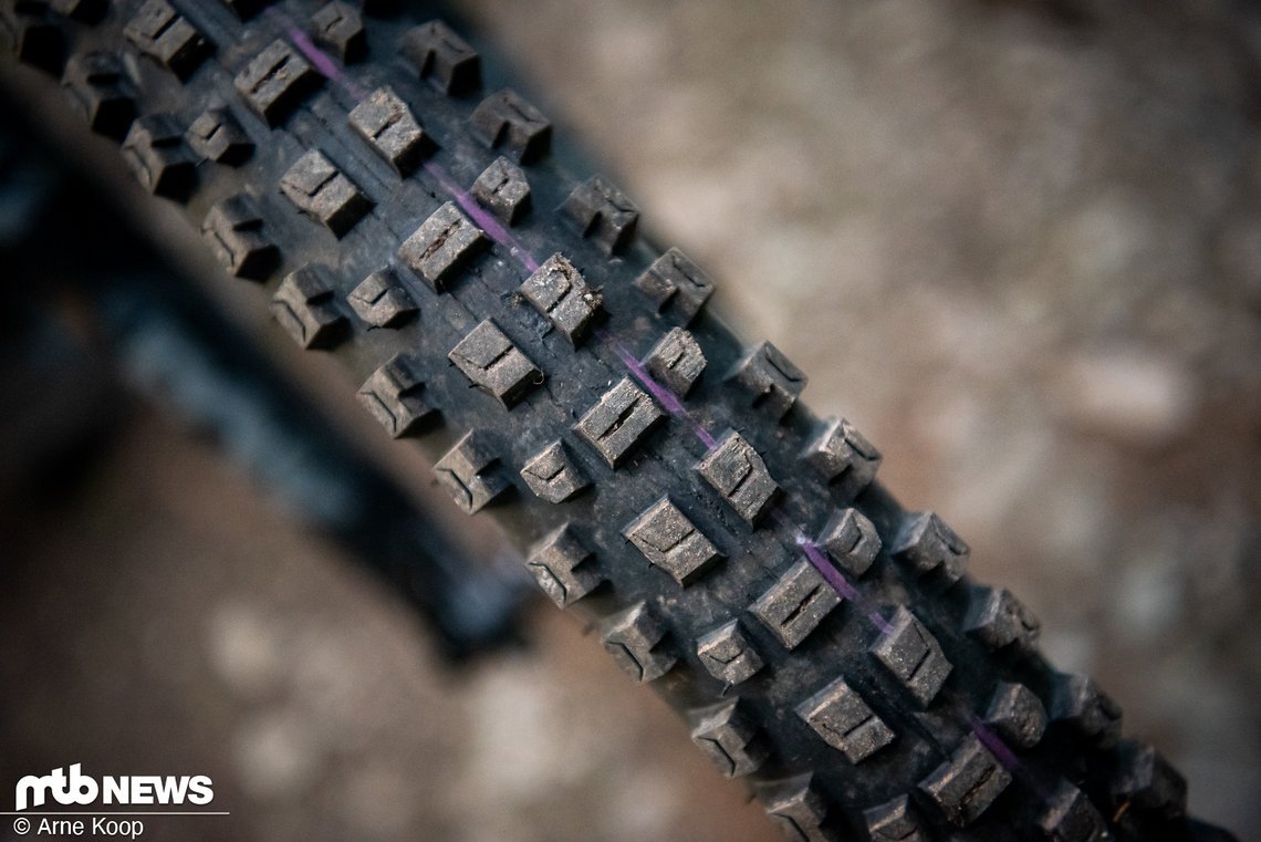 Schwalbe Albert-1701