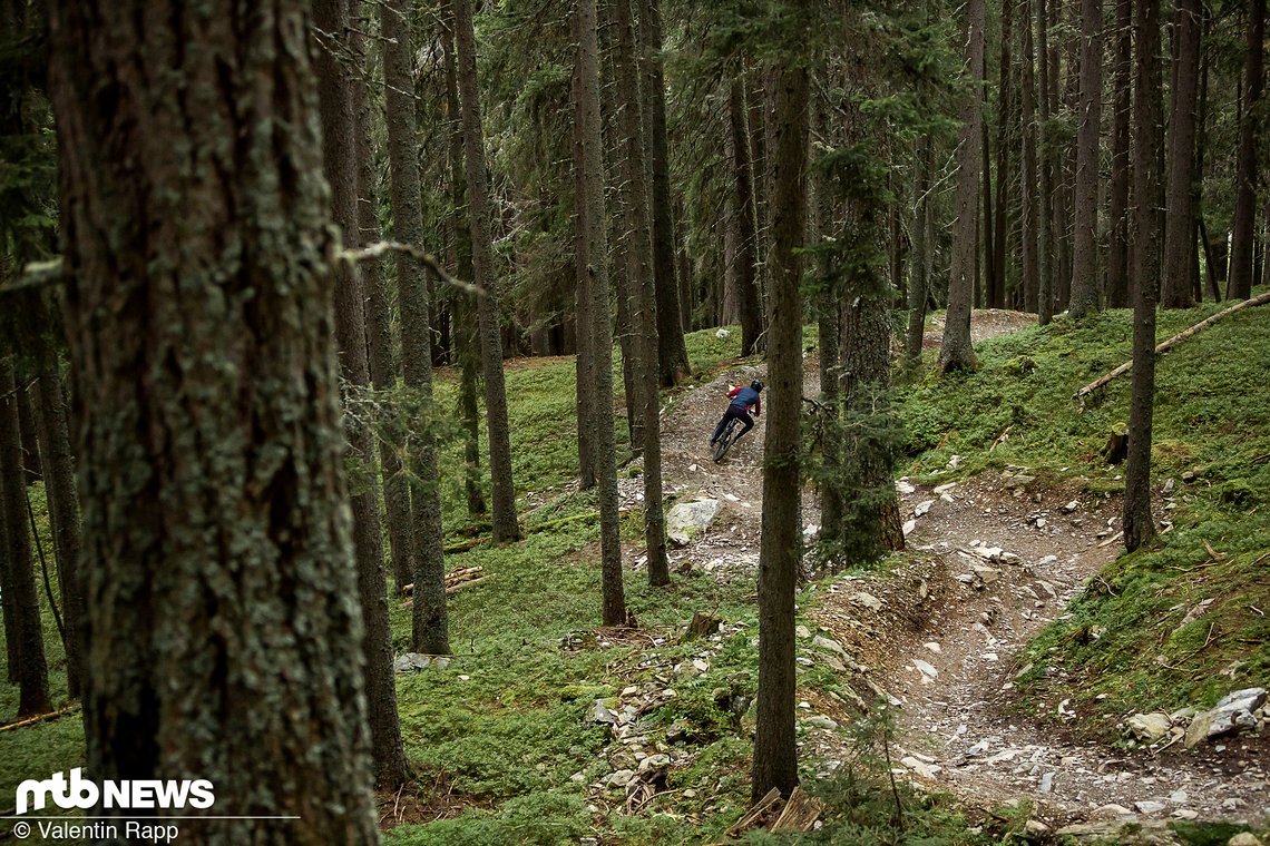 Specialized Stumpjumper Evo-309