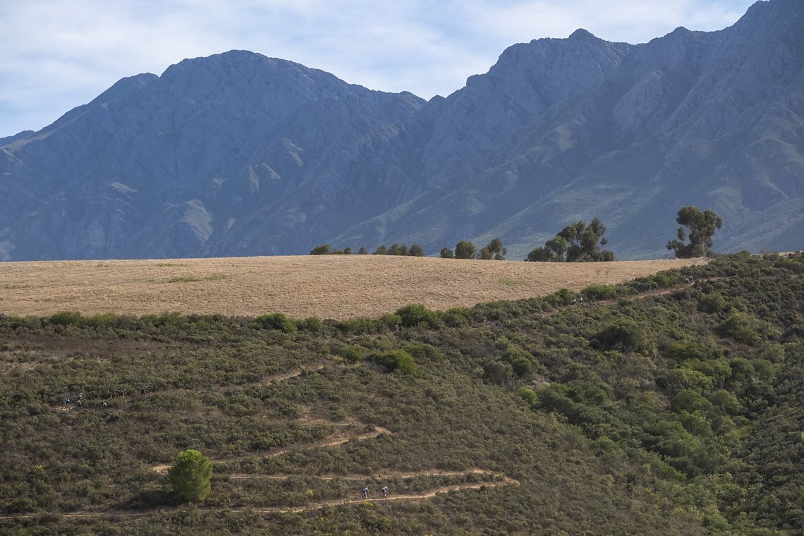 Riders winding up a very long climb during Stage 1 of the 2024 Absa Cape Epic Mountain Bike stage race from Saronsberg Wine Estate to Saronsberg Wine Estate, Tulbagh, South Africa on the 18th March 2024. Photo by Dominic Barnardt / Cape Epic
PLEASE E